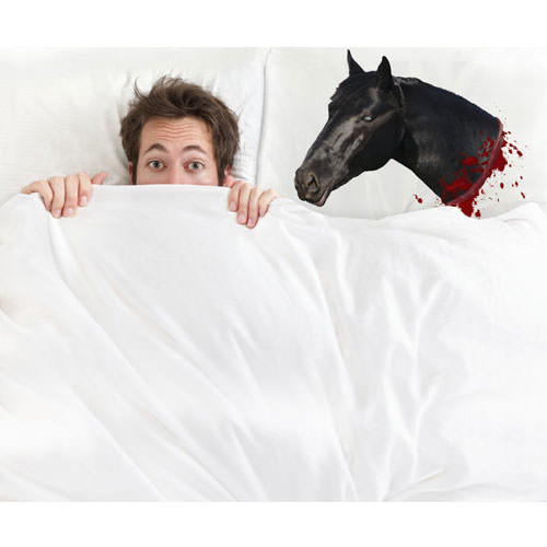 Horse Head Pillow Case